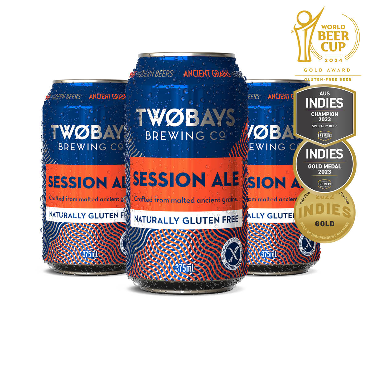 Session Ale Carton