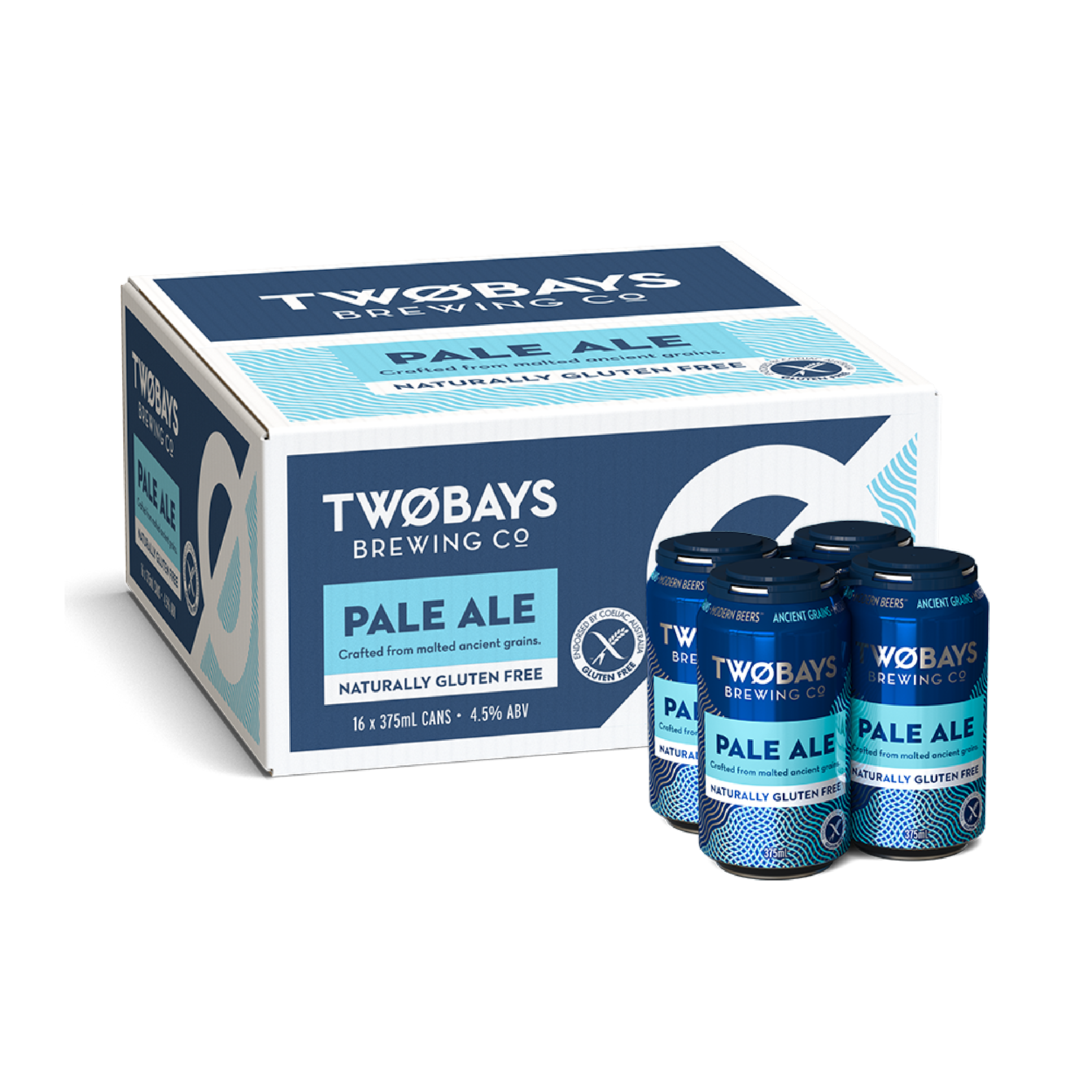 Pale Ale Carton