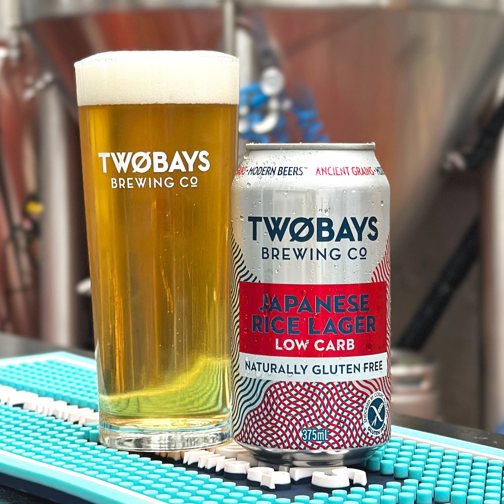 Low Carb Japanese Rice Lager Carton