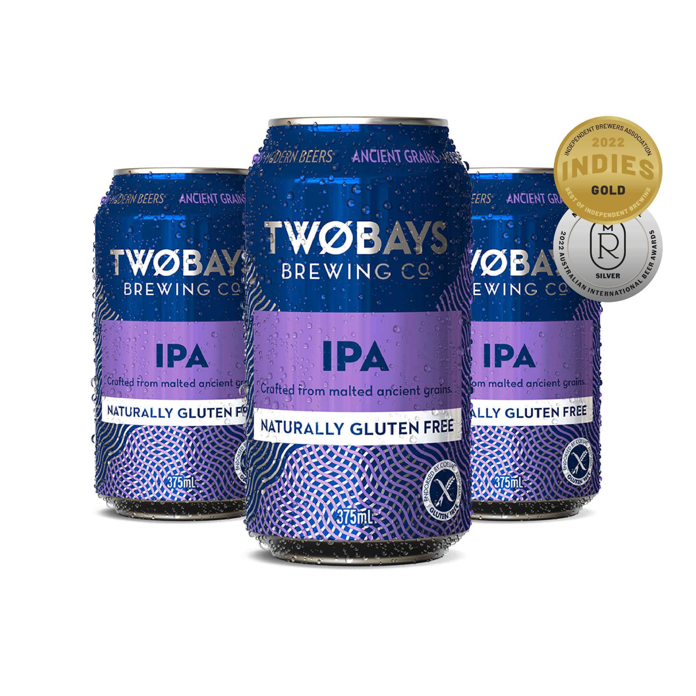 IPA Beer Carton