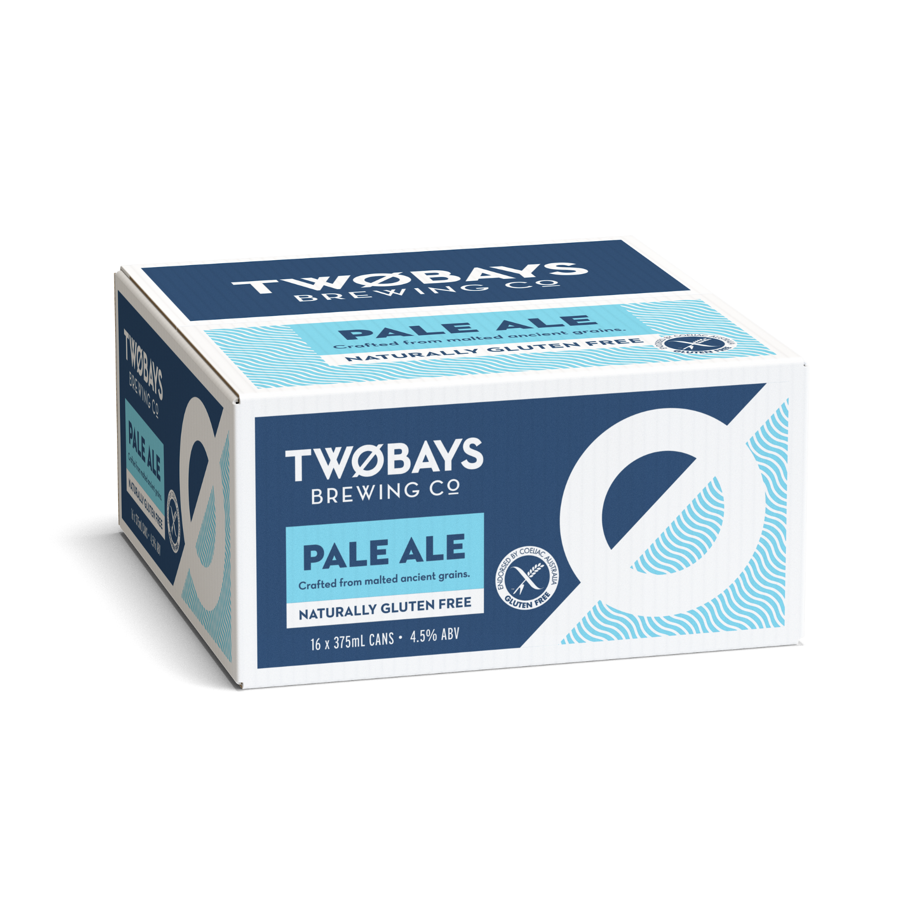 PALE ALE CARTON 16 X 375ML