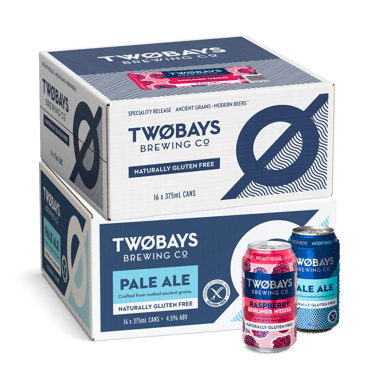 Raspberry Berliner Weisse + Choose 2nd Carton