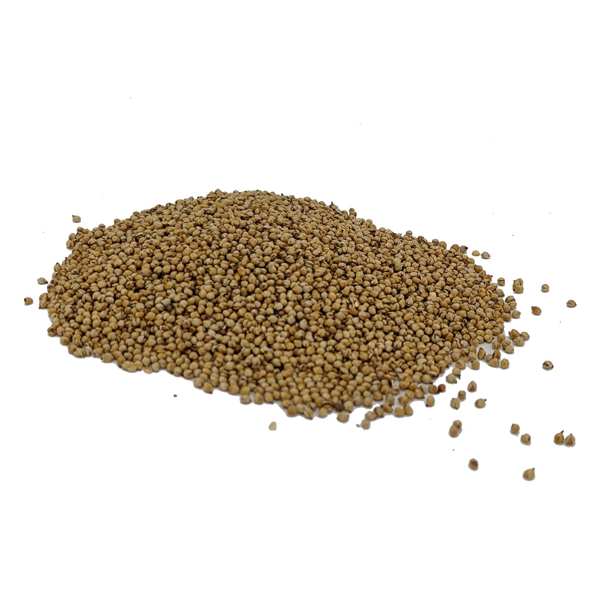 Millet - Dutch Roasted Malt