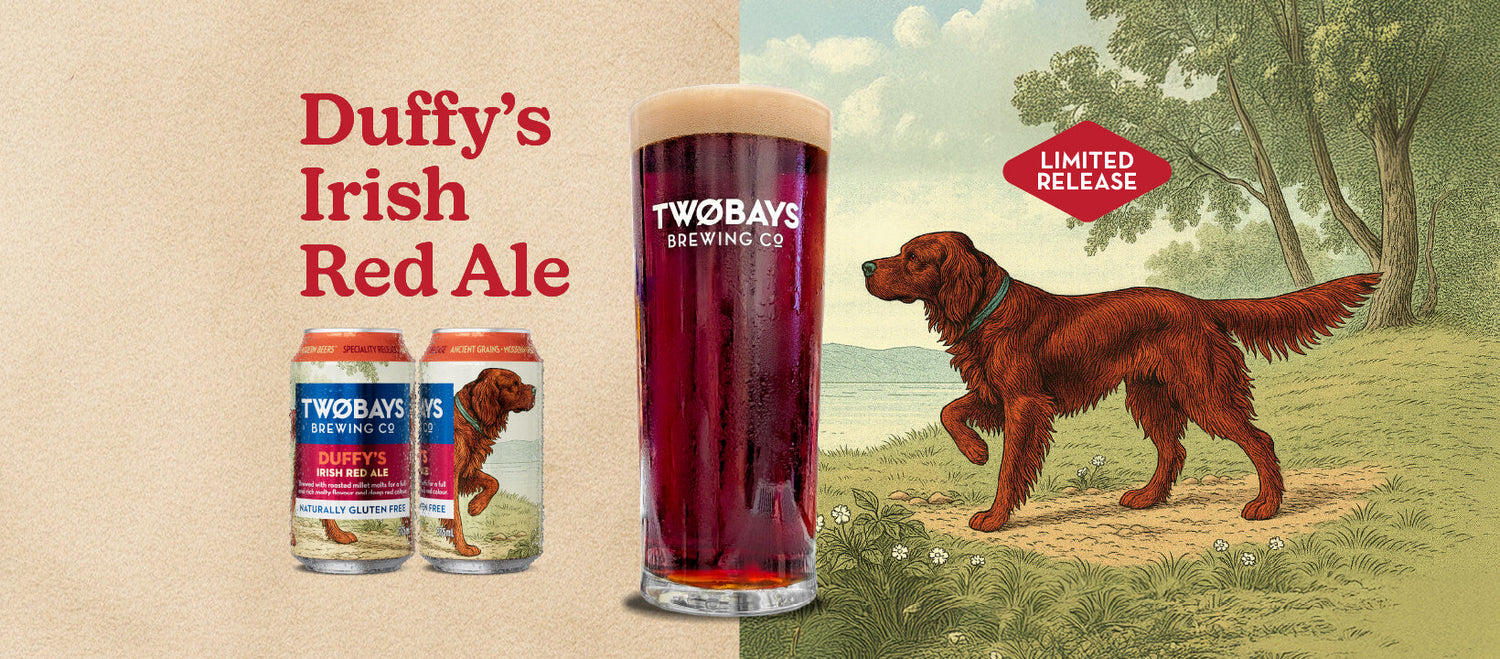 Duffy's Irish Red Ale - Limited Release