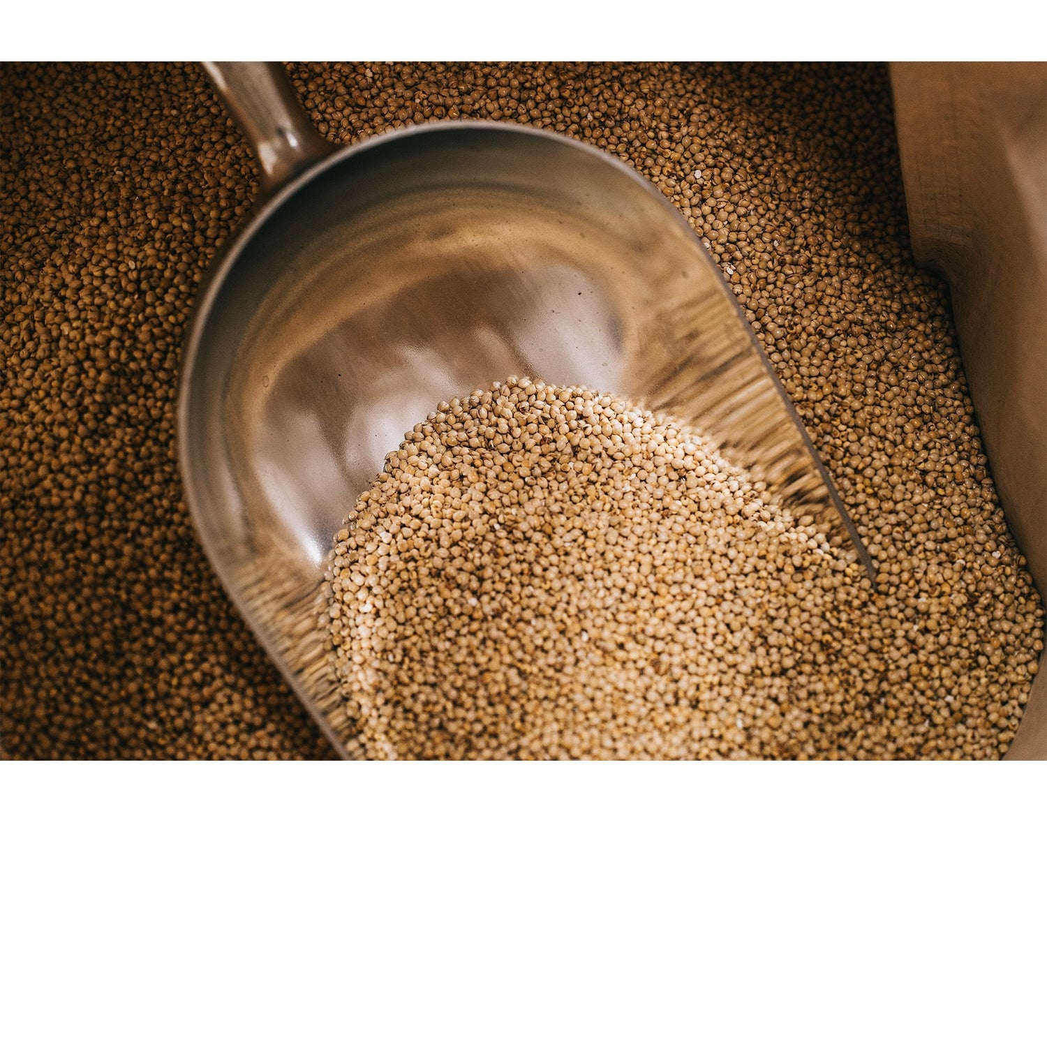  Gluten Free Craft Beer Malt Collection TWØBAYS Brewing Co