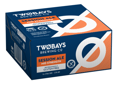 SESSION ALE CARTON 16 X 375ML