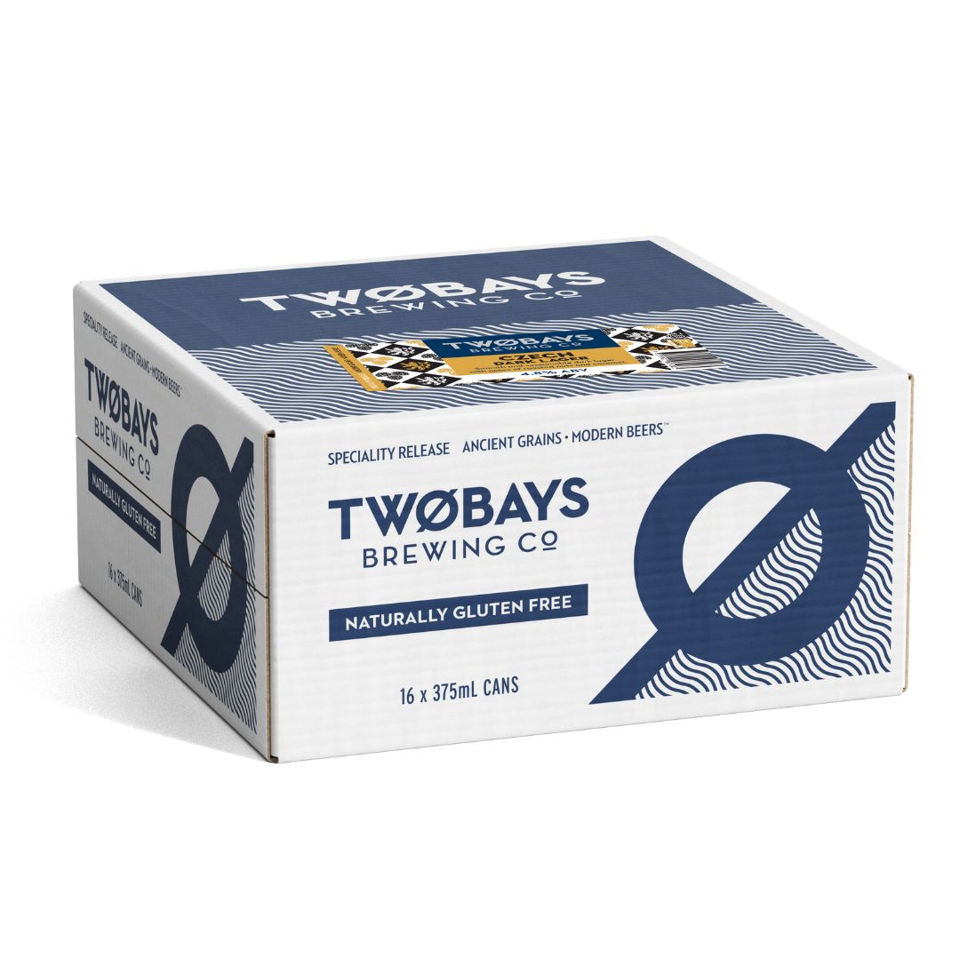 CZECH DARK LAGER 16 X 375ML