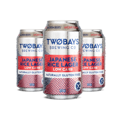 Low Carb Japanese Rice Lager Carton