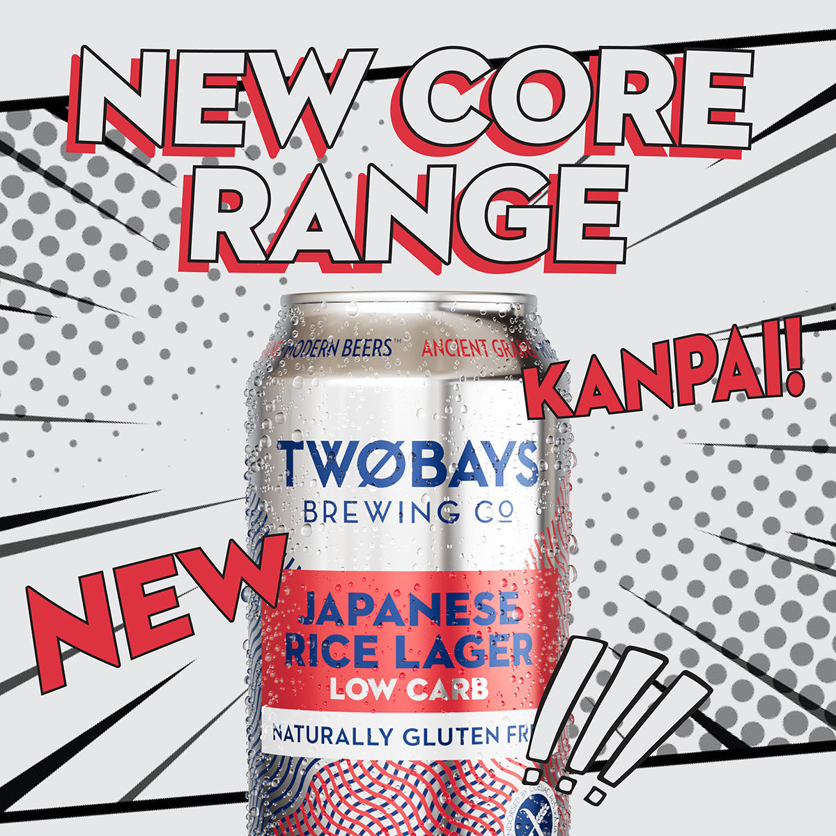 Low Carb Japanese Rice Lager Carton