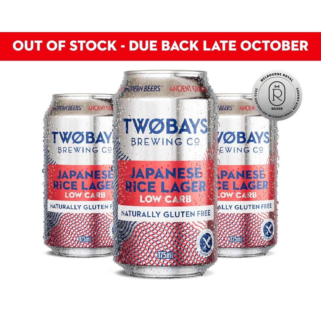 Low Carb Japanese Rice Lager Carton