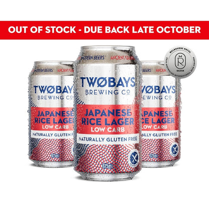 Low Carb Japanese Rice Lager Carton