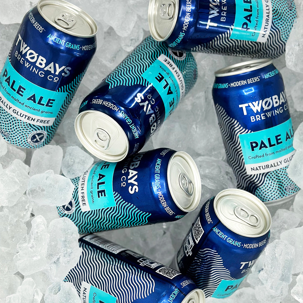 Pale Ale Carton