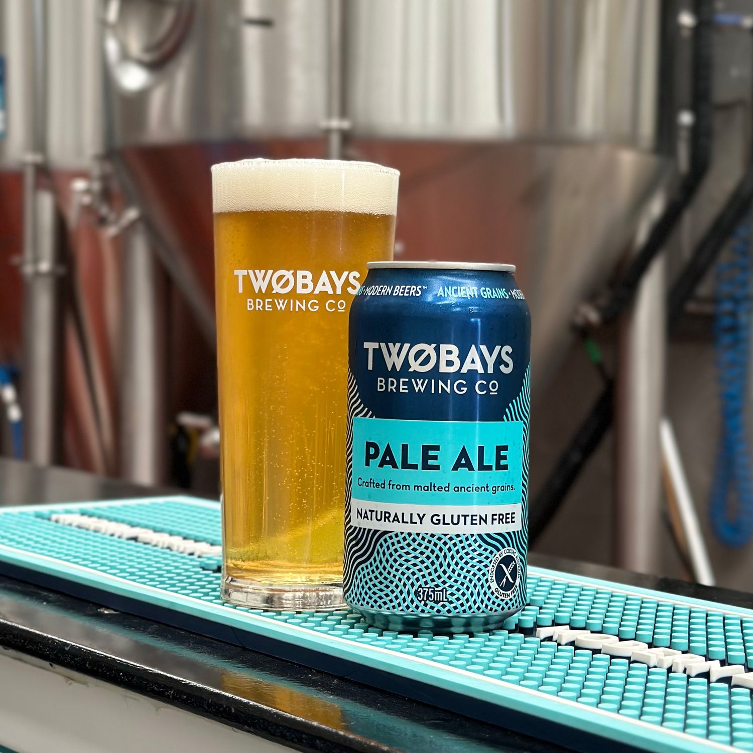 Pale Ale Carton