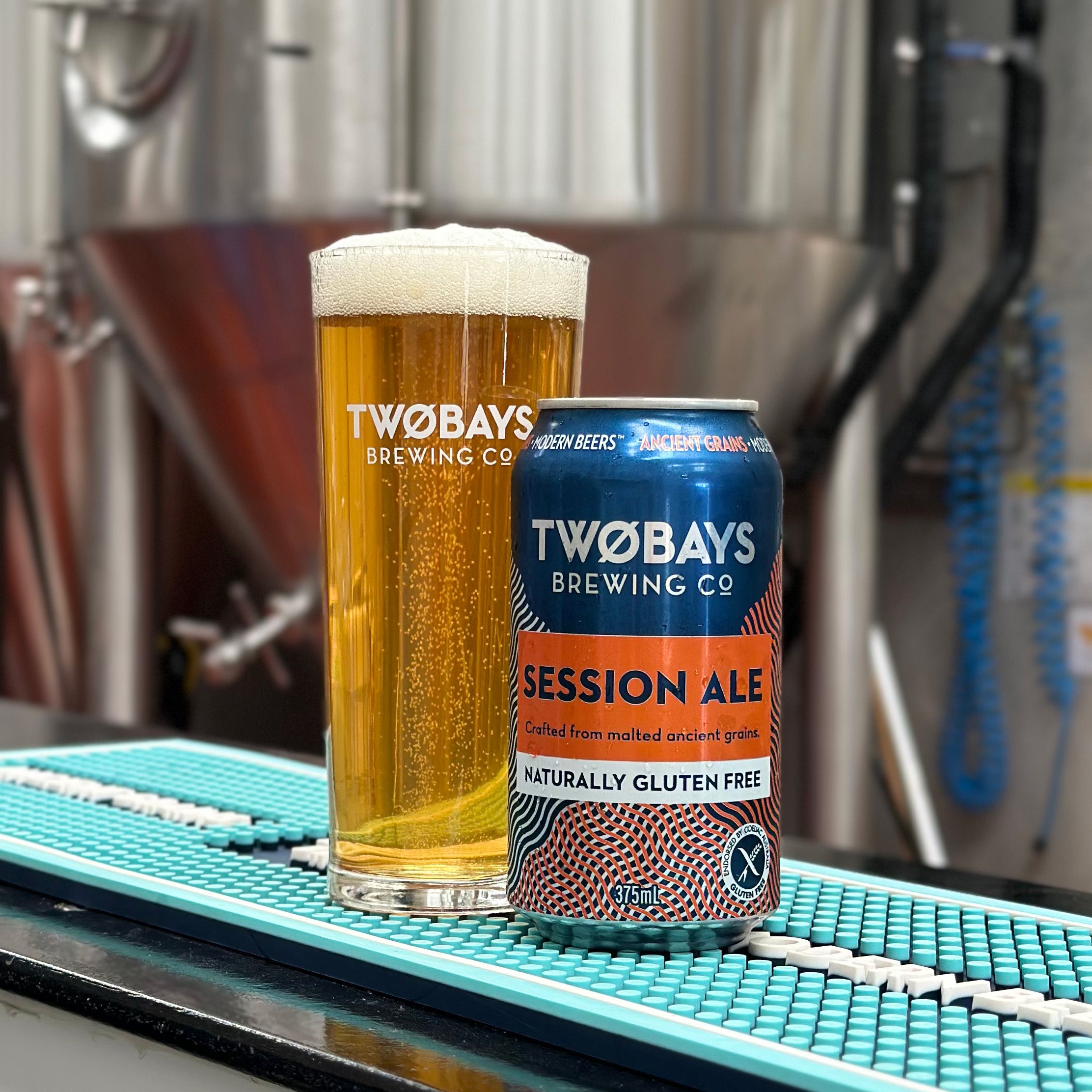 Session Ale Carton