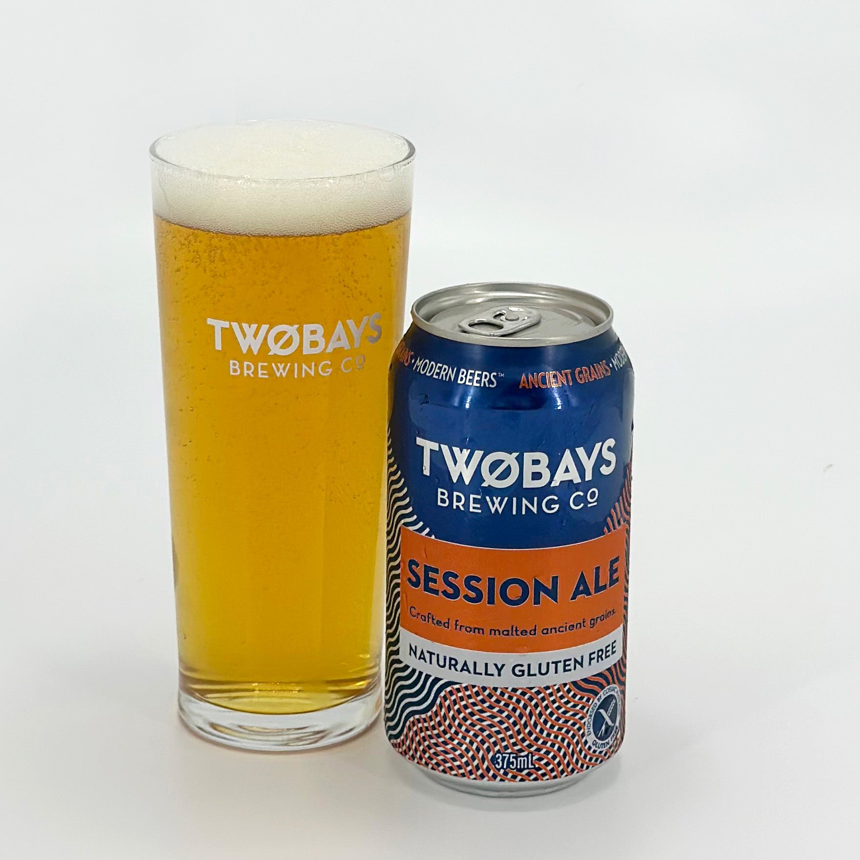 Session Ale Carton