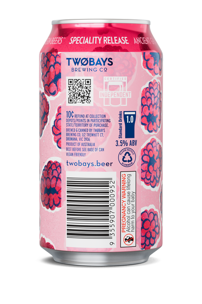 Raspberry Berliner Weisse Carton