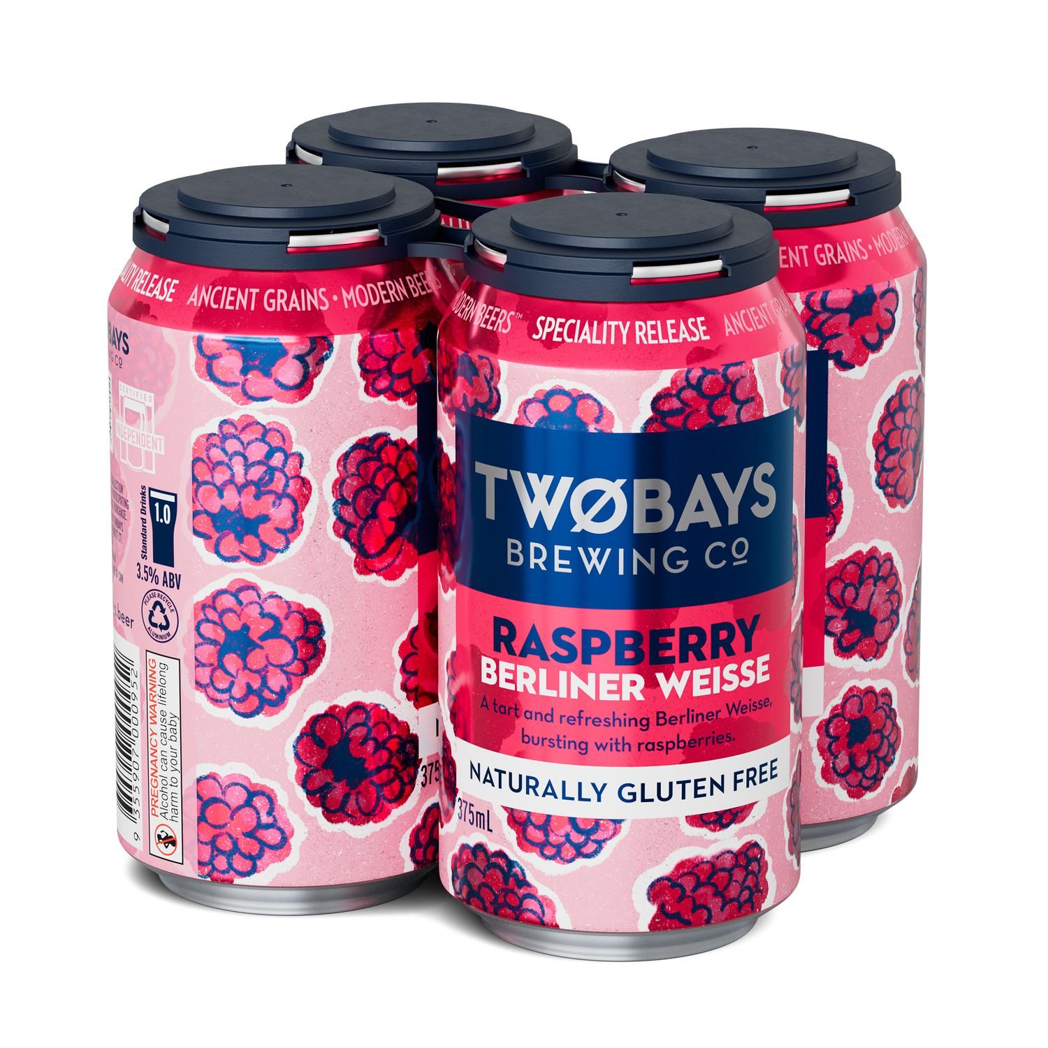 x4-Pack Raspberry Berliner Weisse