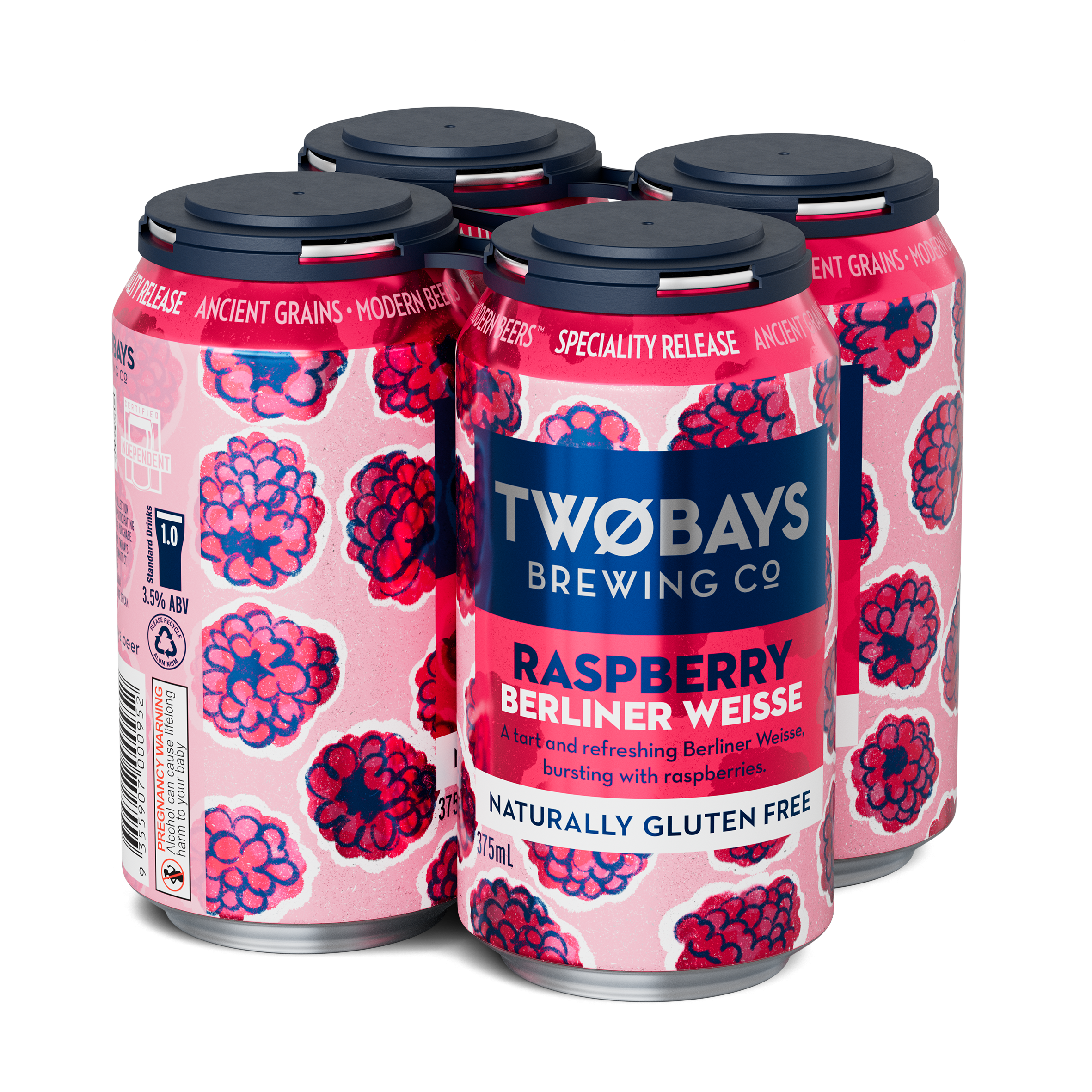 x4-Pack Raspberry Berliner Weisse