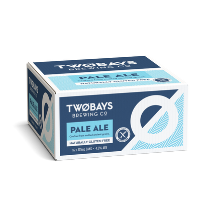 PALE ALE CARTON 16 X 375ML
