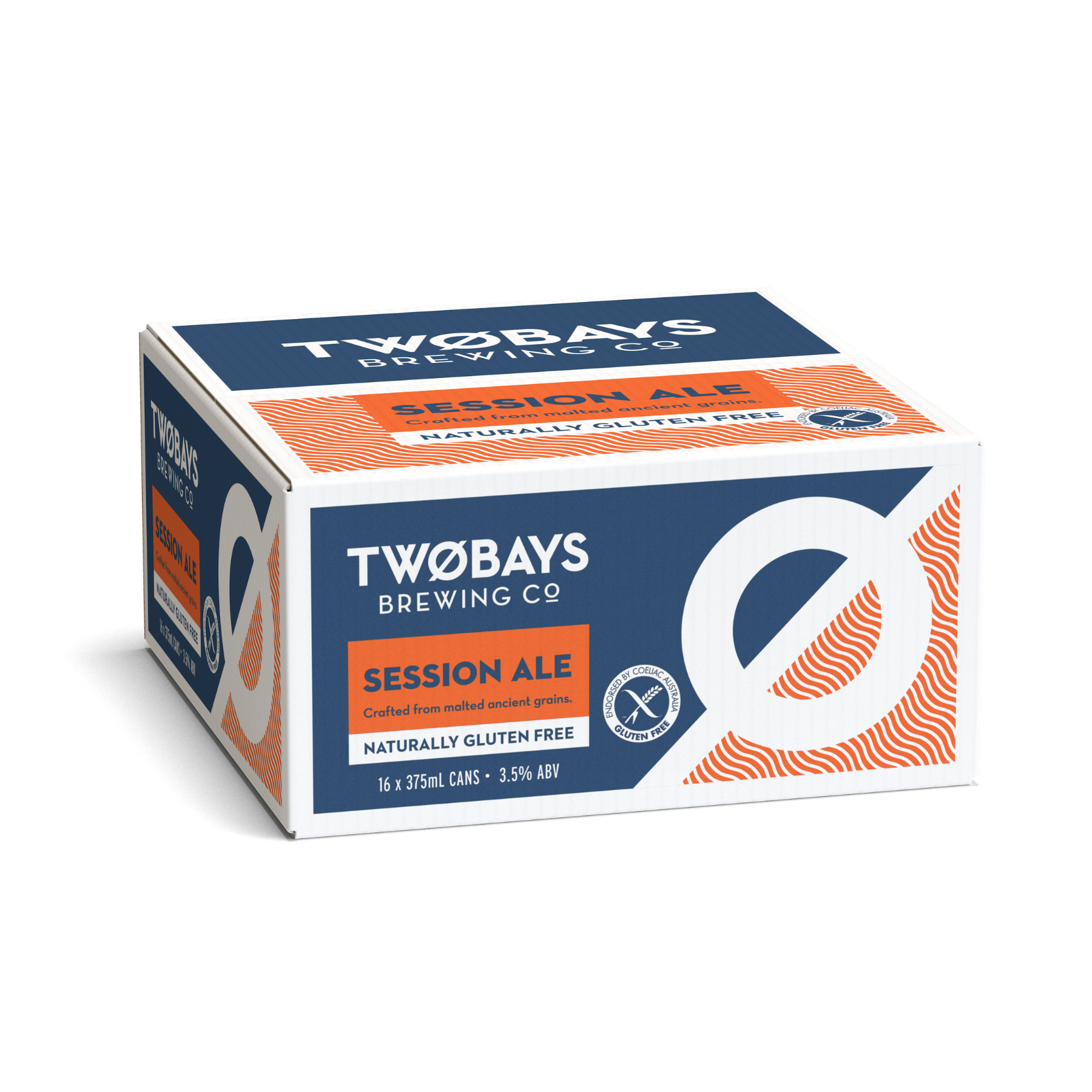 SESSION ALE CARTON 16 X 375ML