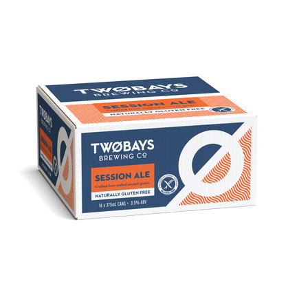 SESSION ALE CARTON 16 X 375ML