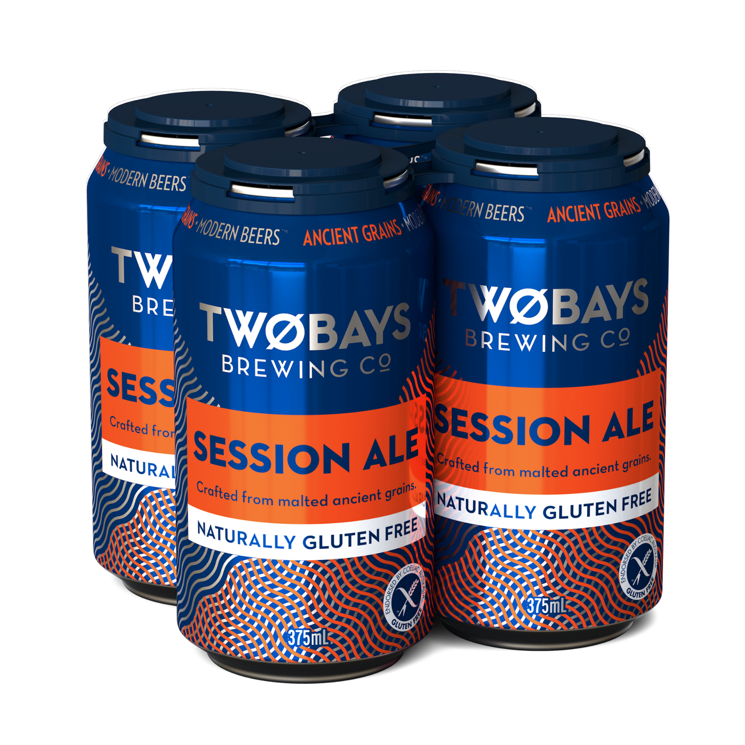 SESSION ALE CARTON 16 X 375ML