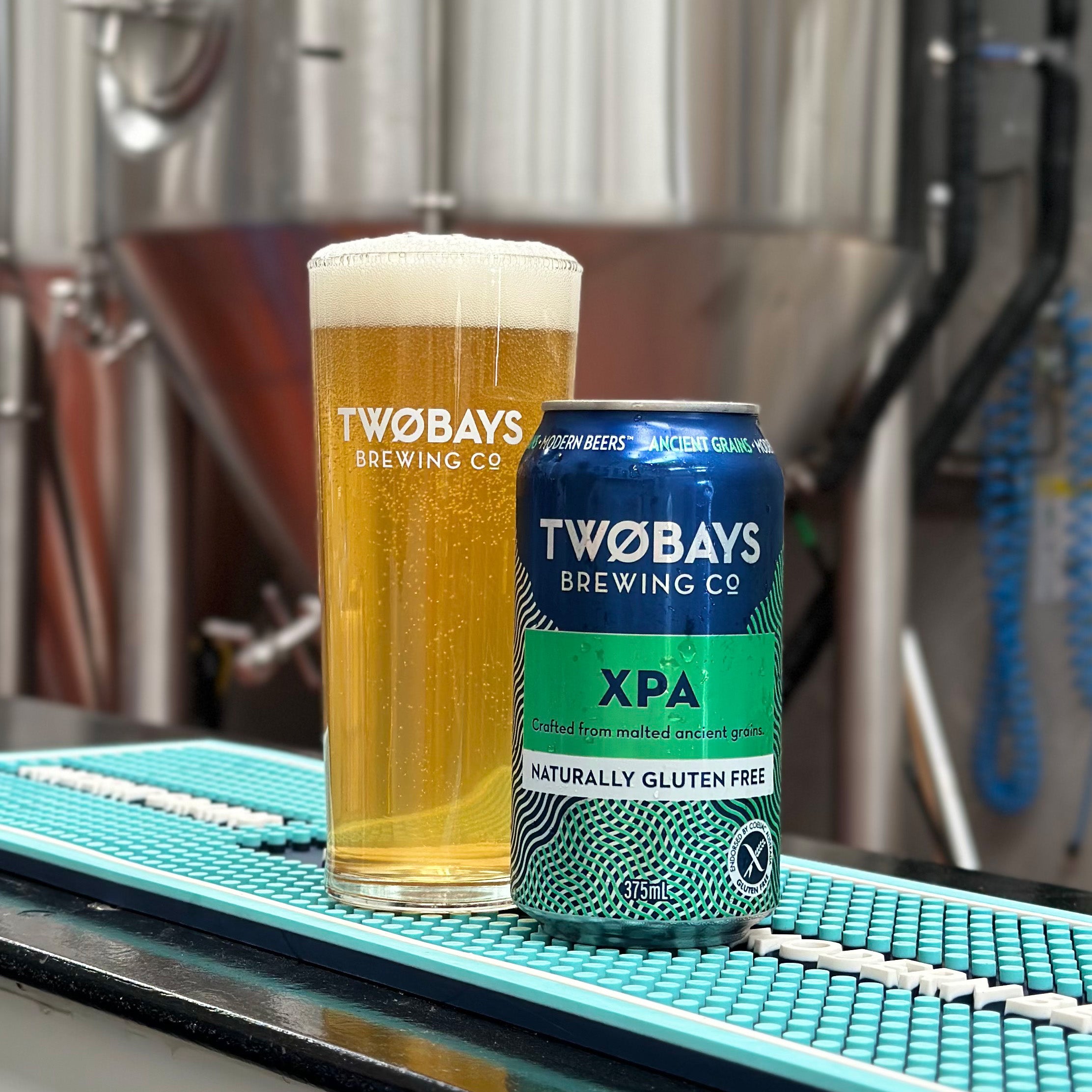 Extra Pale Ale (XPA) Carton