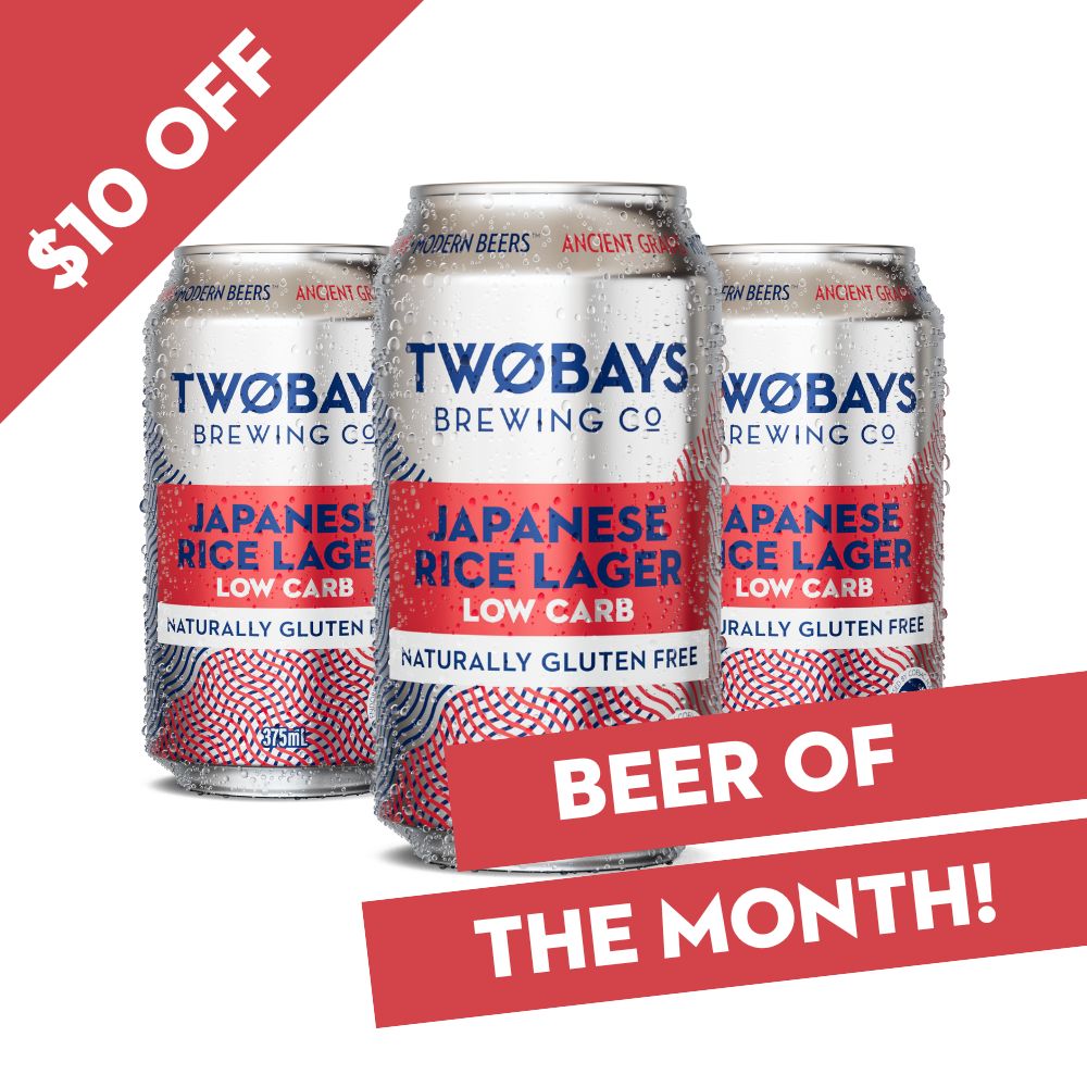 Low Carb Japanese Rice Lager Carton