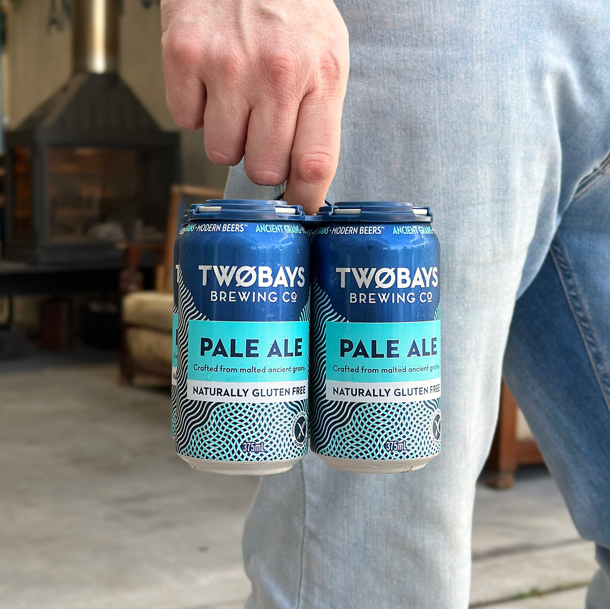 Pale Ale Carton