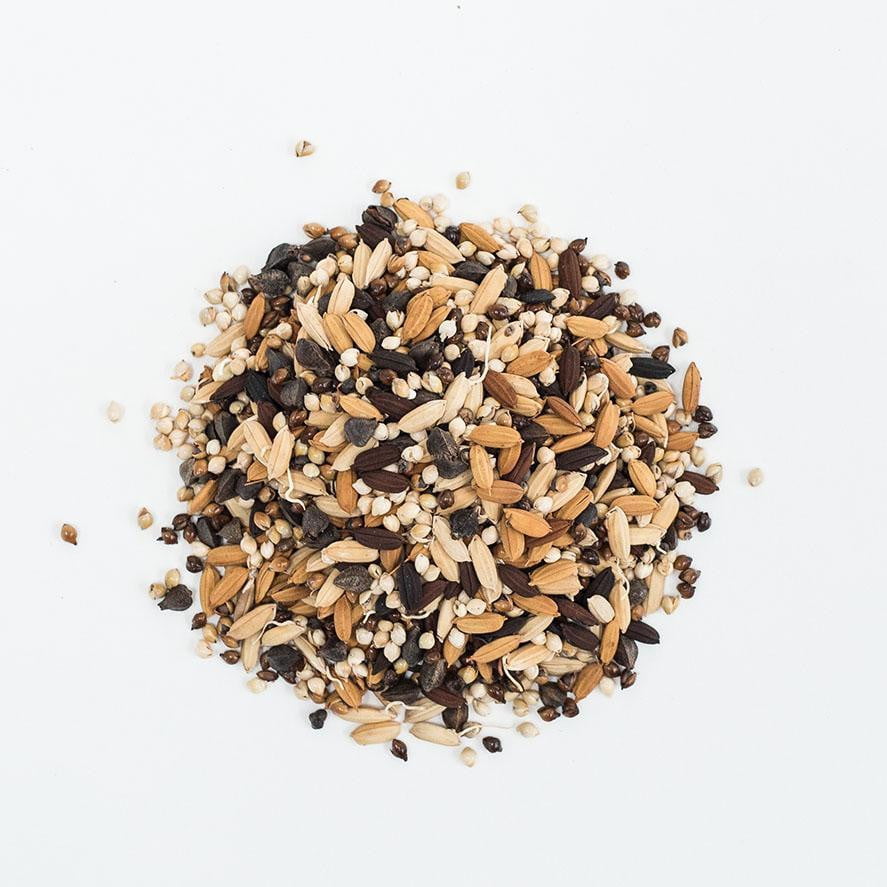 ENGLISH GOLDEN ALE- PARTIAL MASH