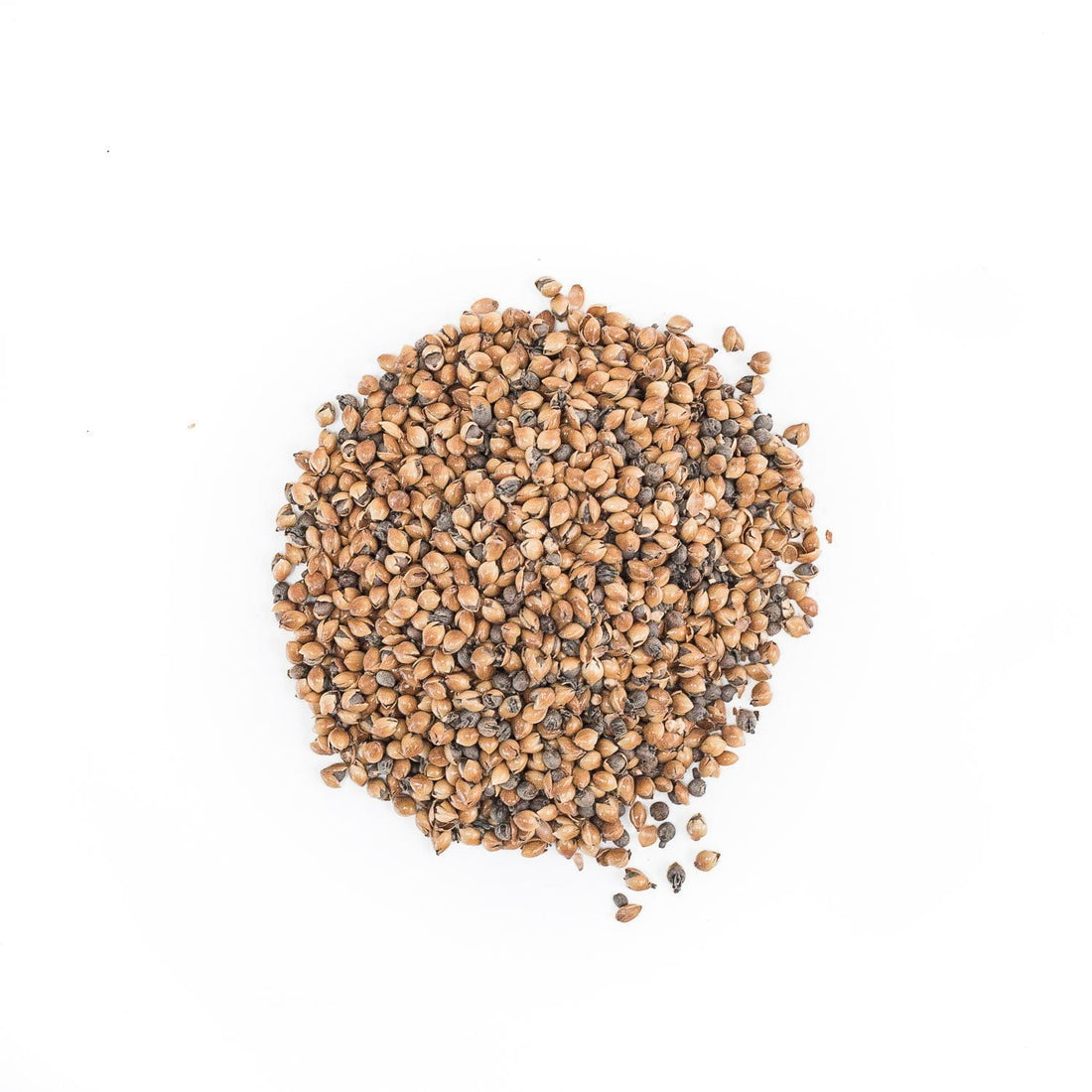 Millet - Medium Roasted Malt