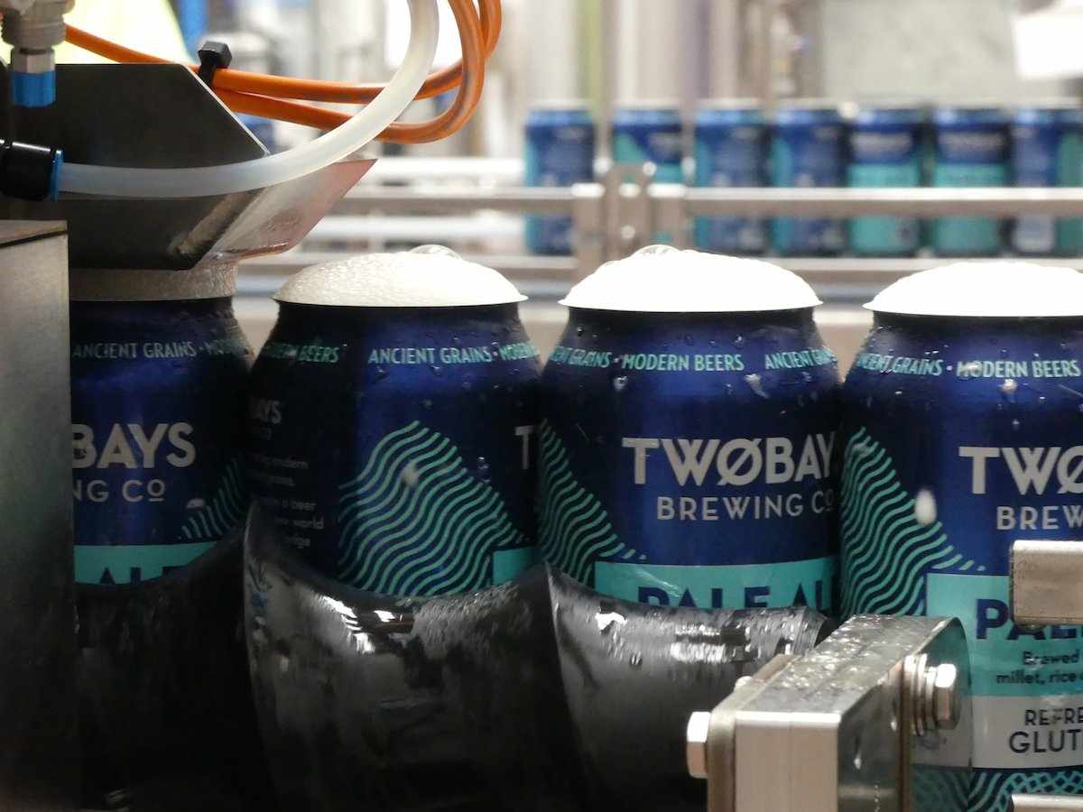 Pale Ale Carton